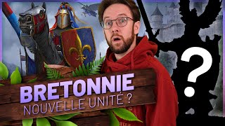 Comment rendre la Bretonnie FUN  Jai une idée [upl. by Nelag167]