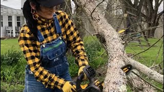 DeWalt 12” DCCS620 Cordless Chainsaw REVIEW  Miss DeWalt [upl. by Shulamith335]