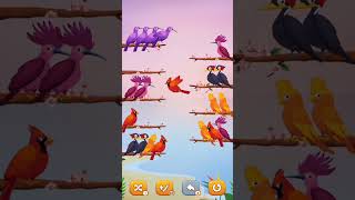 cute birds shortviral vlogs shotcutebirds bhojpuri ganashortvidtrendingshorts [upl. by Zoara]