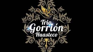 quotQuerrequequot letra Trio Gorrion Huasteco [upl. by Kelcey]