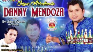 DANNY MENDOZA♫ MALDITO LICOR CLAVEL ROJOLA PITUCA♫DANNY PRODUCCIONES™✔ [upl. by Gnov730]