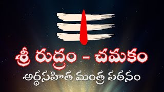 శ్రీ రుద్రం  చమకం  అర్థసహిత మంత్ర పఠనం  Sri Rudram  Chamakam with Meaning in Telugu [upl. by Ikkela]