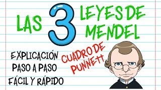 🌿LAS LEYES DE MENDEL CUADRO DE PUNNETT PASO A PASO EXPLICACIÓN Fácil y Rápido  BIOLOGÍA [upl. by See803]