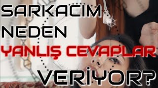 Sarkacım neden yanlış cevaplar veriyor [upl. by Ajoop]