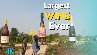 Lets make wine Sula Vineyards Nashik sulavineyards vines bestvines Vlog No 47 [upl. by Kcinnay149]