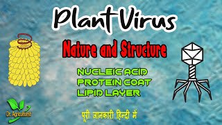 Know about plant virus Nature and Structure  विषाणु की सरंचना [upl. by Nahem]