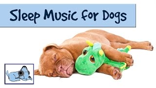 The Dog Song  Music to Help your Dog Sleep 🐶 RMD09 [upl. by Emelun]