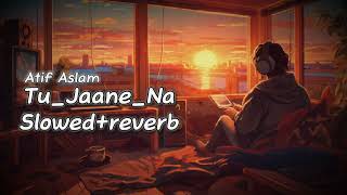 Tu jaane na Slowedreverb atif Aslam song [upl. by Ailina]