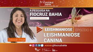 Leishmaniose  Leishmaniose canina [upl. by Meehsar]