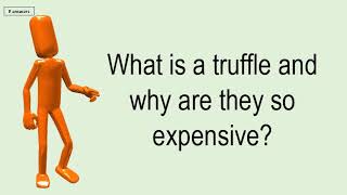 What Is A Truffle And Why Are They So Expensive [upl. by Rinaldo]