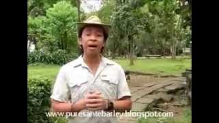 Sante Pure Barley Grass Your Health Solution by Kuya Kim Atienza [upl. by Chaunce704]