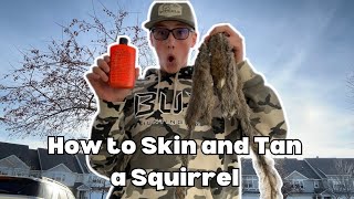 How to SKIN AND TAN a Squirrel 🐿️ Great results [upl. by Gibeon]