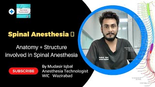 Spinal Anesthesia  Anatomy and Structure involved in Spinal Anesthesia in Urdu Hindi [upl. by Cruz880]