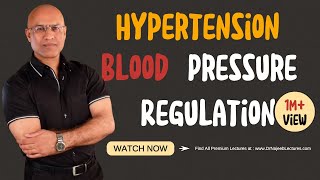 Hypertension  Blood Pressure Regulation  Hypotension [upl. by Nhguaved639]