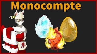 Dofus Nouveau Serveur Monocompte [upl. by Oribelle]