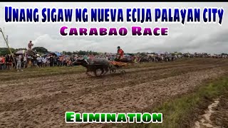 EP973 Unang sigaw ng nueva ecija palayan city Carabao Race Elimination [upl. by Asoral]