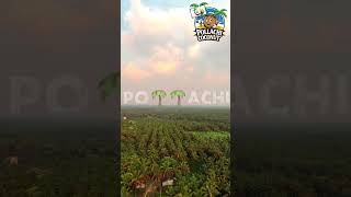 It sounds like youre referring to the beautiful coconut farms in Pollachi a town in TamilNadu India [upl. by Tod211]