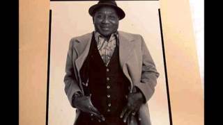 Muddy Waters  Mannish Boy  1977 Hard Again version [upl. by Tri]