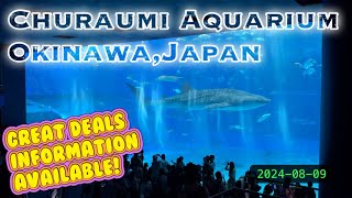 Churaumi Aquarium OkinawaJapanwith great deals information [upl. by Jariah]