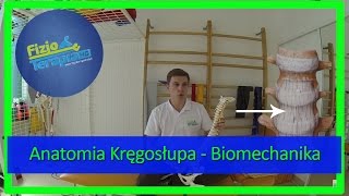 Anatomia Kręgosłupa  Biomechanika 6 FizjoTerapia HD [upl. by Fidellas170]