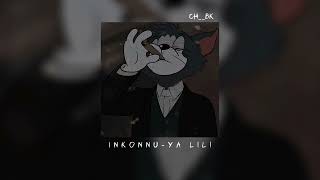 inkonnuYA LILI speed up [upl. by Makell]