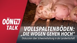 Verbot von Vollspaltenböden „Die Angst in der Branche ist sehr groß“ [upl. by Notlrac654]