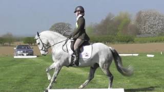 Arkmire Mr Slipper Breckenbrough Dressage 220 [upl. by Caffrey208]