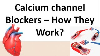 Norvasc Amlodipine  A Calcium channel blockers  Pharmacology amp Mechanism of action [upl. by Luamaj]