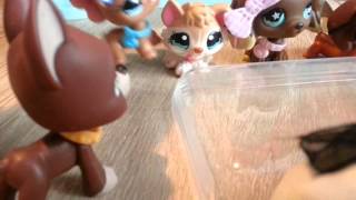 LPS  quotZakręceniquot 14 Littlest Pet Shop [upl. by Je674]