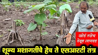 शून्य मशागतीच्या एसआरटी तंत्राने शेतकरी नफ्यात  SRT Farm  Profitable Farming  Shivar News 24 [upl. by Dyche]