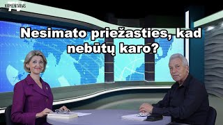 Vytautas Mikalauskas quotNeturime nei nacionalinio elito nei tikros opozicijosquot [upl. by Deach]