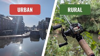 URBAN VS RURAL Perch Fishing  BFS Style [upl. by Eanej321]