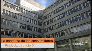 FCE UBA  250 Microeconomía I  La conducta de los consumidores [upl. by Aver700]