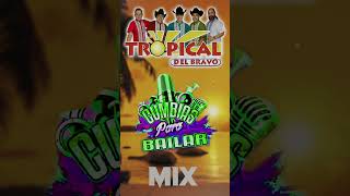 Tropical del Bravo Mix Cumbias Para Bailar [upl. by Gabbie492]