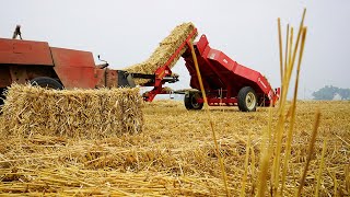 Our Smallest Bale System with Jansen Farm [upl. by Annawad]