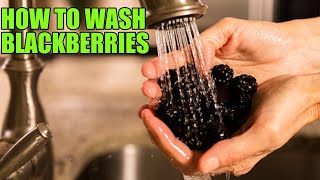 How to Wash Blackberries The Right Way [upl. by Zaremski]