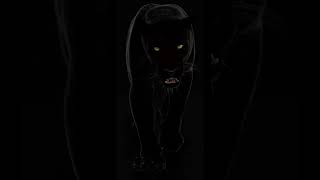 Panther Walk And Roar 3d Animation shorts [upl. by Charlene448]