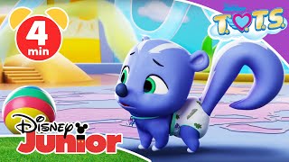 🌼 TOTS  Clip StinkeScooter  Disney Junior [upl. by Chisholm]