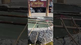 Hot Spring Chiang mai Thailand [upl. by Ewall318]