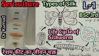 SericultureLifecycle of Silkworm L1Types of Silkरेशम कीट का जीवन चक्रBSc Part3By Dr Kumud [upl. by Griffith]