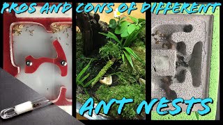 Pros and cons of different ant nests  Test tube Acrylic Ytong Natural [upl. by Spencer426]