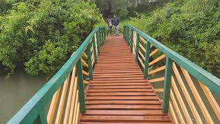 Sharavathi Kandla Mangrove boardwalk Honnavara [upl. by Medovich953]