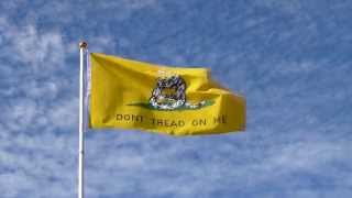 Dont Tread on Me Flag Printed 3x5 Grommeted  In the Breeze [upl. by Irrak80]