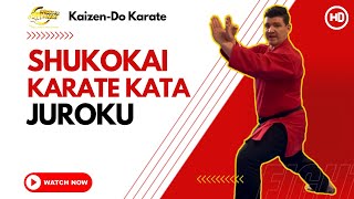 Shukokai Karate Kata  Juroku [upl. by Spillar]