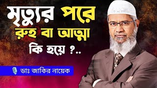 রুহ কি । মৃত্যুর পরে আত্মার কোথায় থাকে। Dr Zakir Naik Bangla Lecture । [upl. by Ronyam]