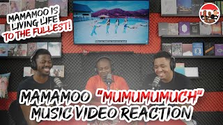 MAMAMOO quotMumumumuchquot Music Video Reaction [upl. by Araeic693]