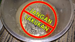 Jangan Pernah Lakukan 8 HAL INI Saat Karantina Ikan Mas Koki yang Sakit [upl. by Lorrac]