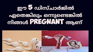 5 different types of early Pregnancy discharge Malayalam Deechus world [upl. by Michaelina]