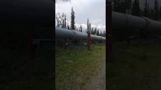 TransAlaskaPipeline Glennallen AK alaska pipeline [upl. by Seroled34]