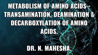 Metabolism of Amino acids  Transamination Deamination amp Decarboxylation of Amino acids [upl. by Pepin]